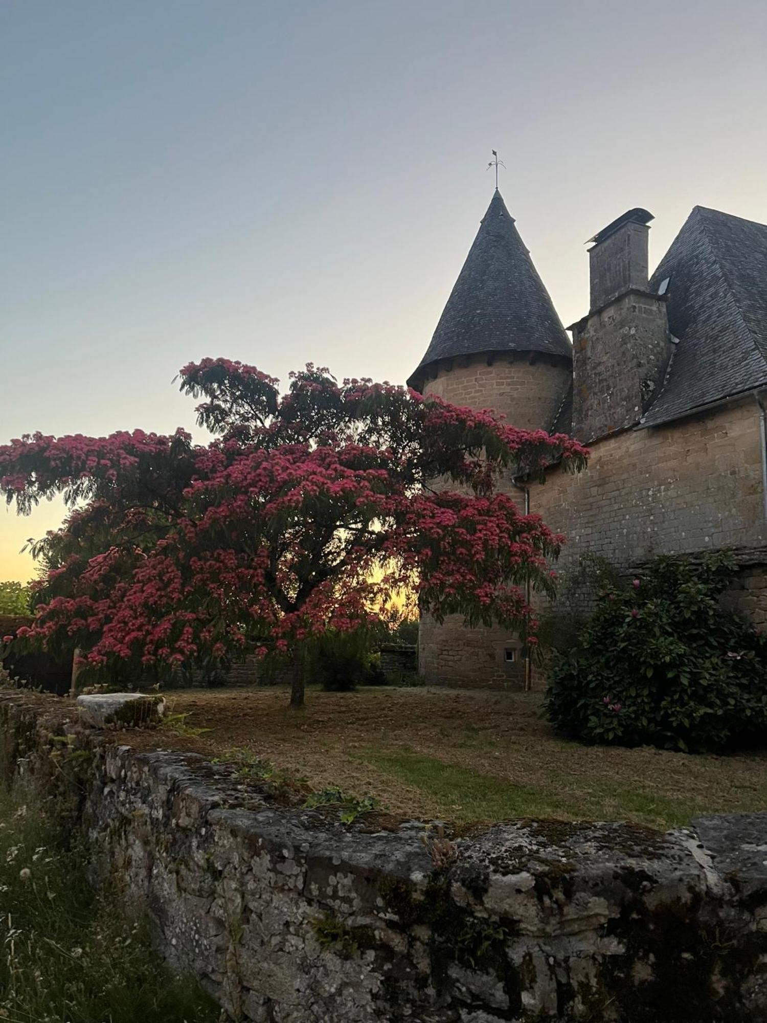 Le Cantou Affieux Exterior photo